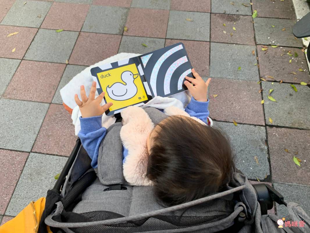 小瓢蟲中英雙語系列 ★啟蒙認知五書組★ 0歲開始看，依寶寶視覺發展階段設計！