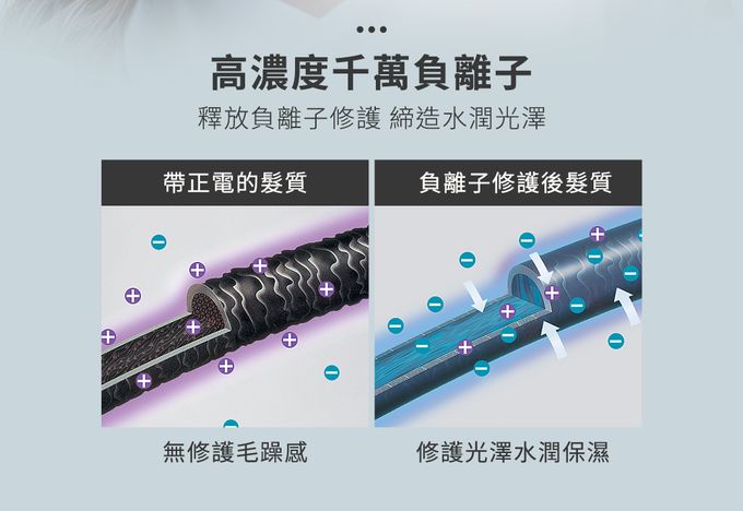 日本 TESCOM - 專業級負離子吹風機 TD880ATW-霧黑色