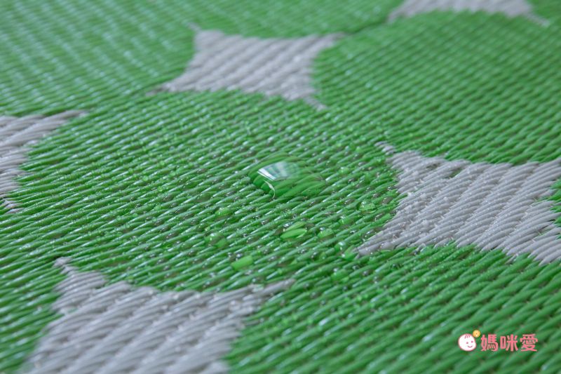 日本池彥 - 過敏協會認證 日本製防蟎蟲野餐墊 / 地毯(4-5人)-英文字-藍 (174x174cm)