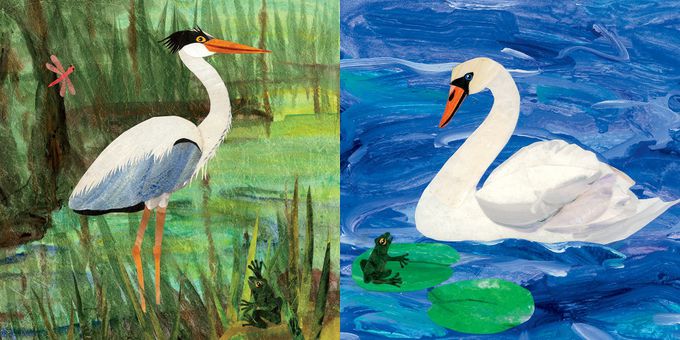 Indestructibles: Plip, Plop, Pond! (咬咬書) (0-3歲)