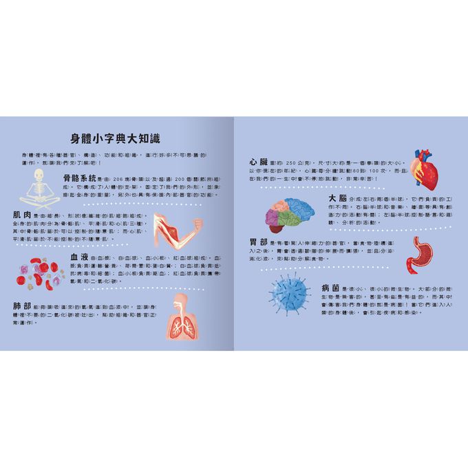 登登登！透光Show 照照人體X光