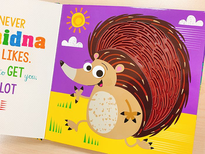 Never Touch a Kangaroo!   沒摸過的大袋鼠（觸摸書）