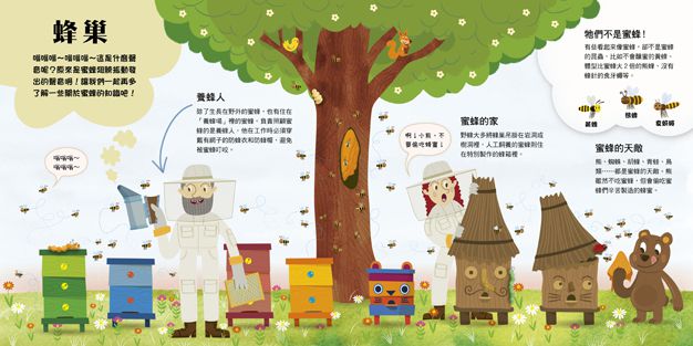 嗨！這是我的家：蜂巢