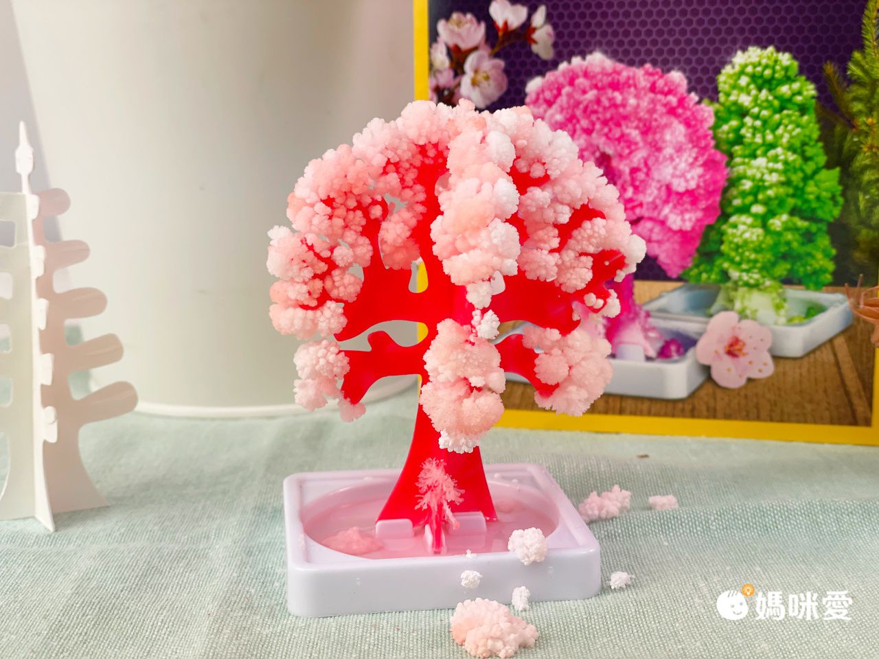 NATIONAL GEOGRAPHIC - 國家地理頻道 紙樹開花(水晶花園實驗套組)