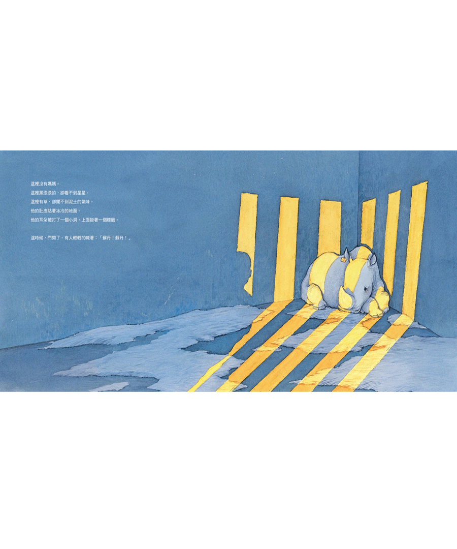 【豐子愷兒童圖畫書獎首獎】雙書組《盤中餐》《蘇丹的犀角》