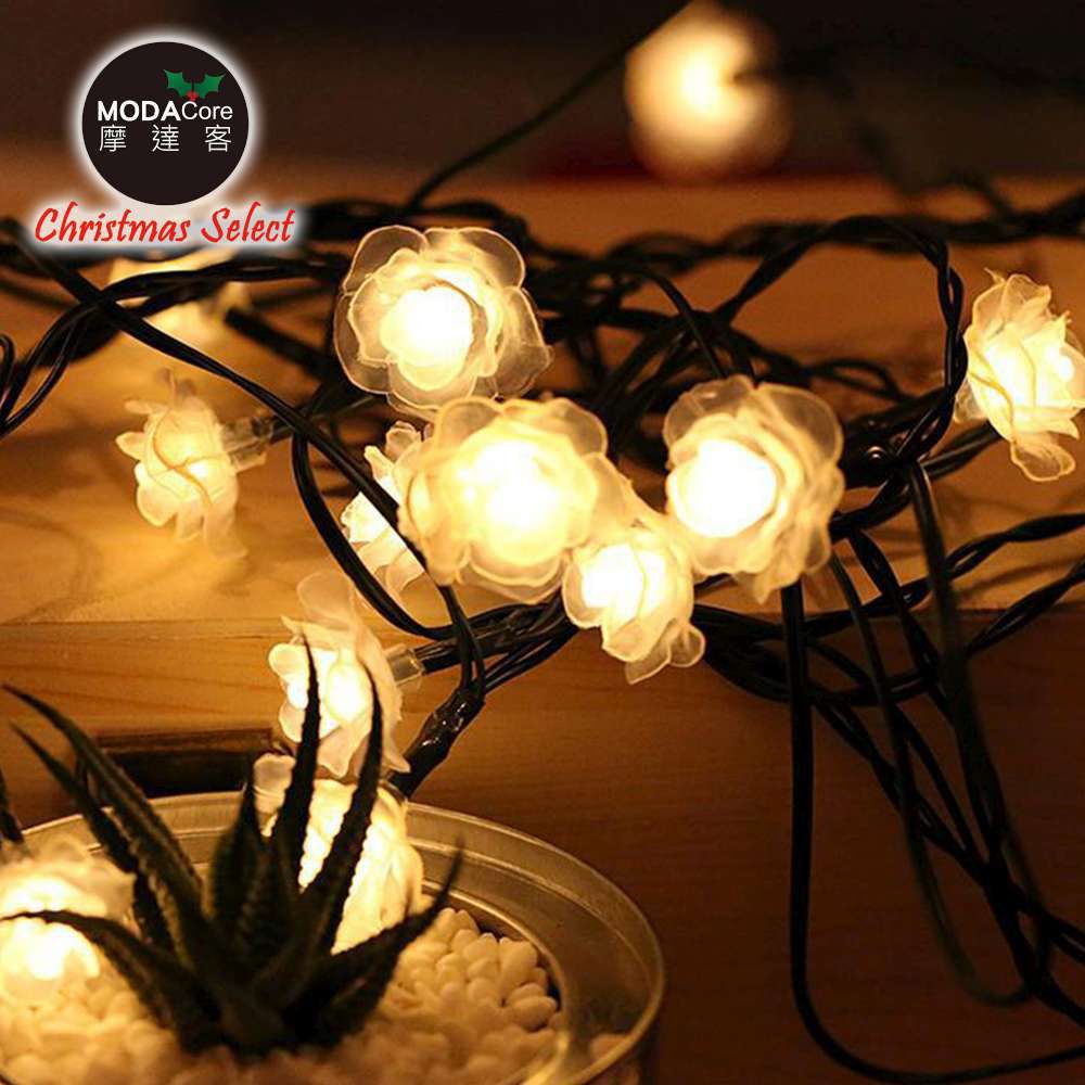 浪漫玫瑰花朵造型燈20燈LED情境燈串(暖白光透明線/電池+USB兩用充電)