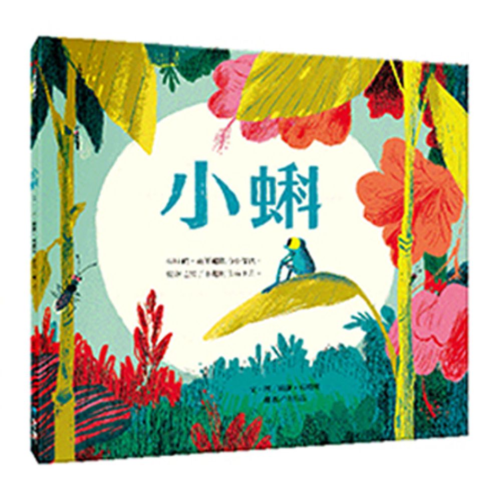 小蝌