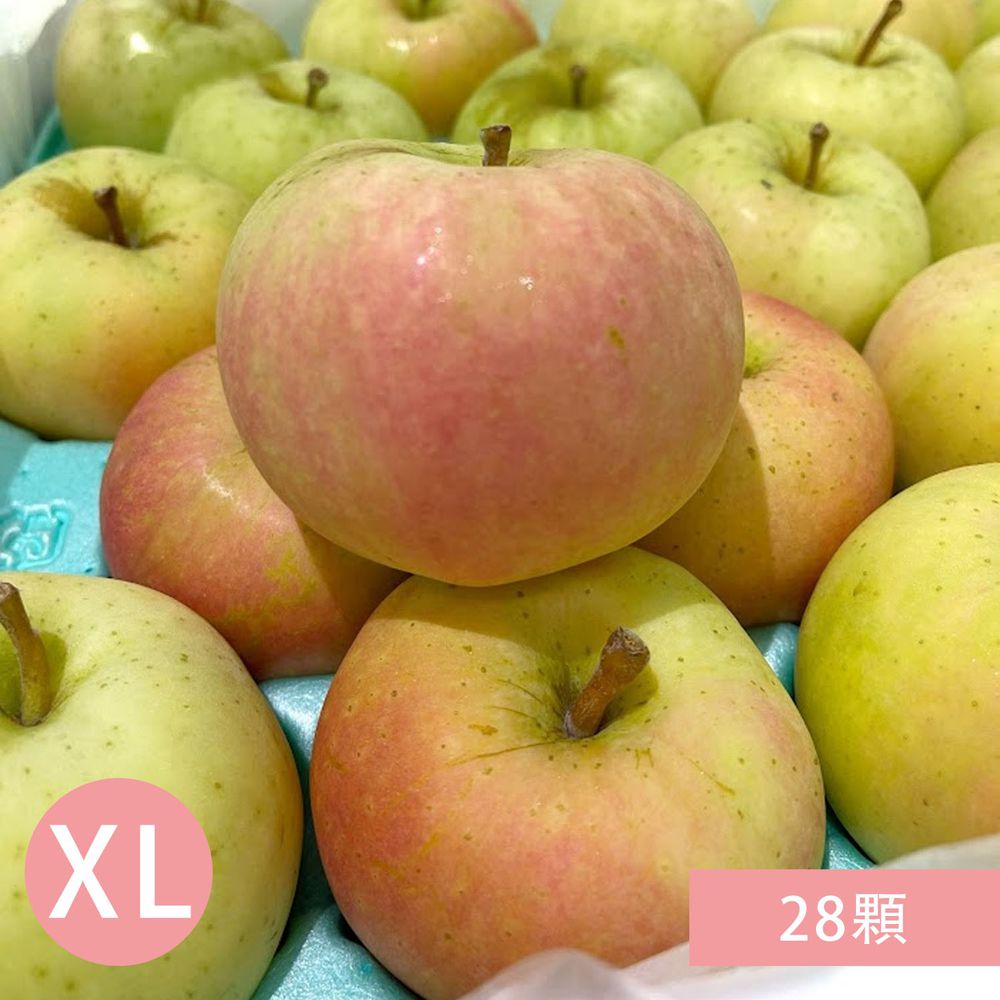 日本青森赤特選TOKI水蜜桃蘋果XL原箱28顆-28顆 / 10kg±10%