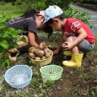 用戶頭像