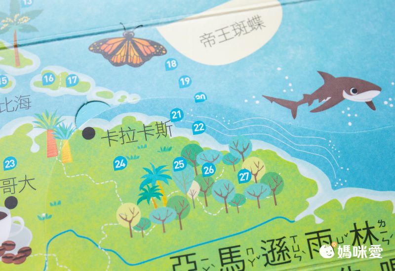 動手翻，長知識！專為3-6歲兒童設計的百科翻翻書