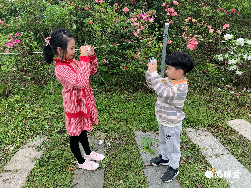 POLI 波力救援小英雄 - 【超值兩入組】兒童數位相機含32G記憶卡-波力*1+安寶*1+[贈]可愛風扇*1