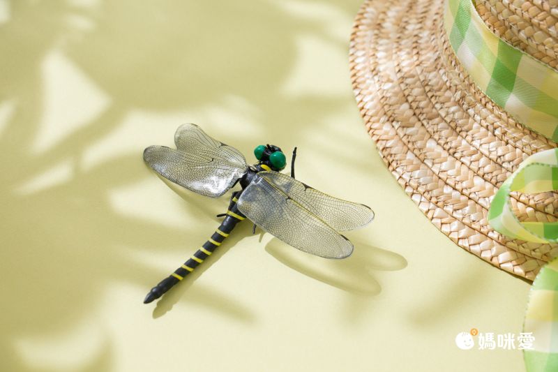 日本代購 - 超仿真蜻蜓君別針/吊飾-無霸勾蜓-黑x黃 (12x10.5cm)