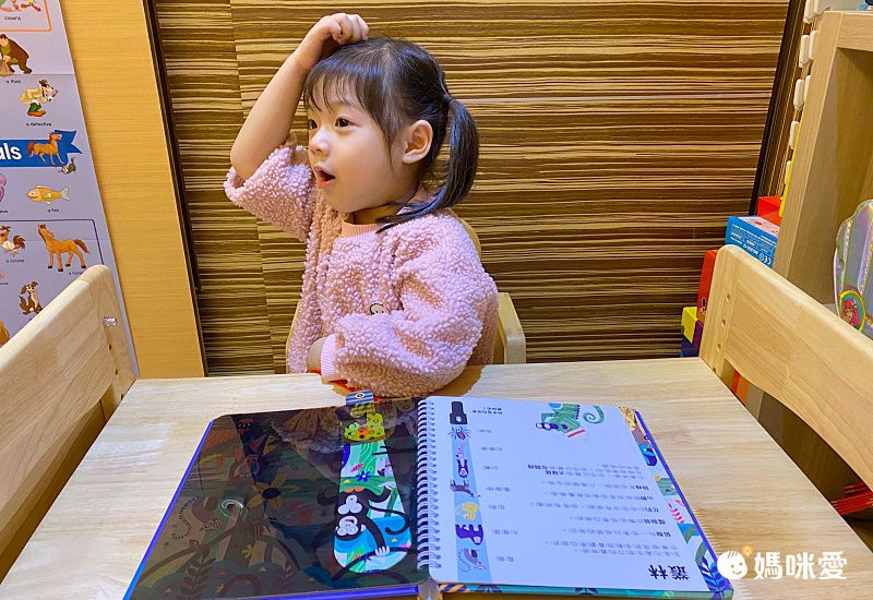 【禾流文創】拿起手電筒，來場夜間探險！『Spotlight！夜遊系列』