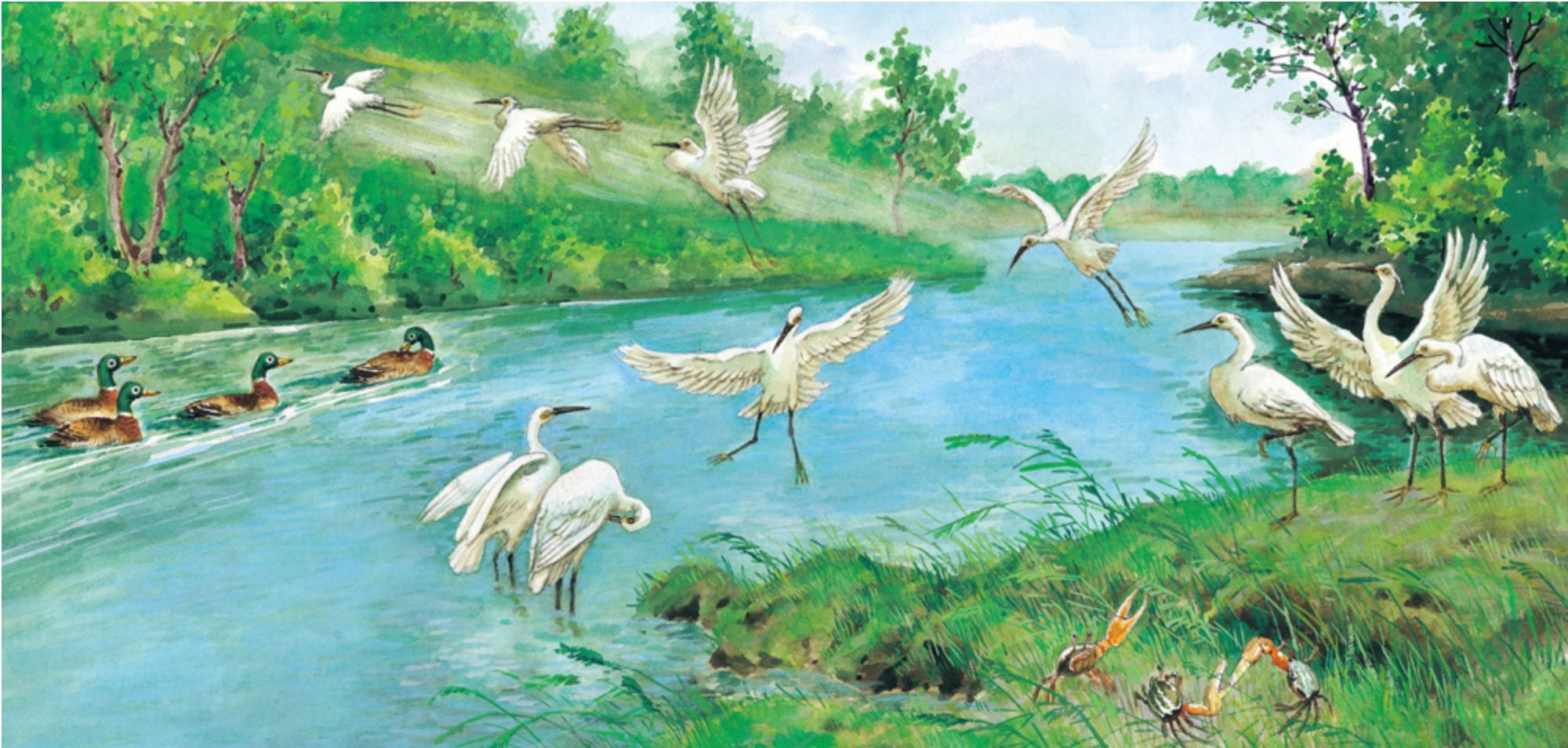 說給兒童的臺灣歷史：10書+有聲故事 超值組