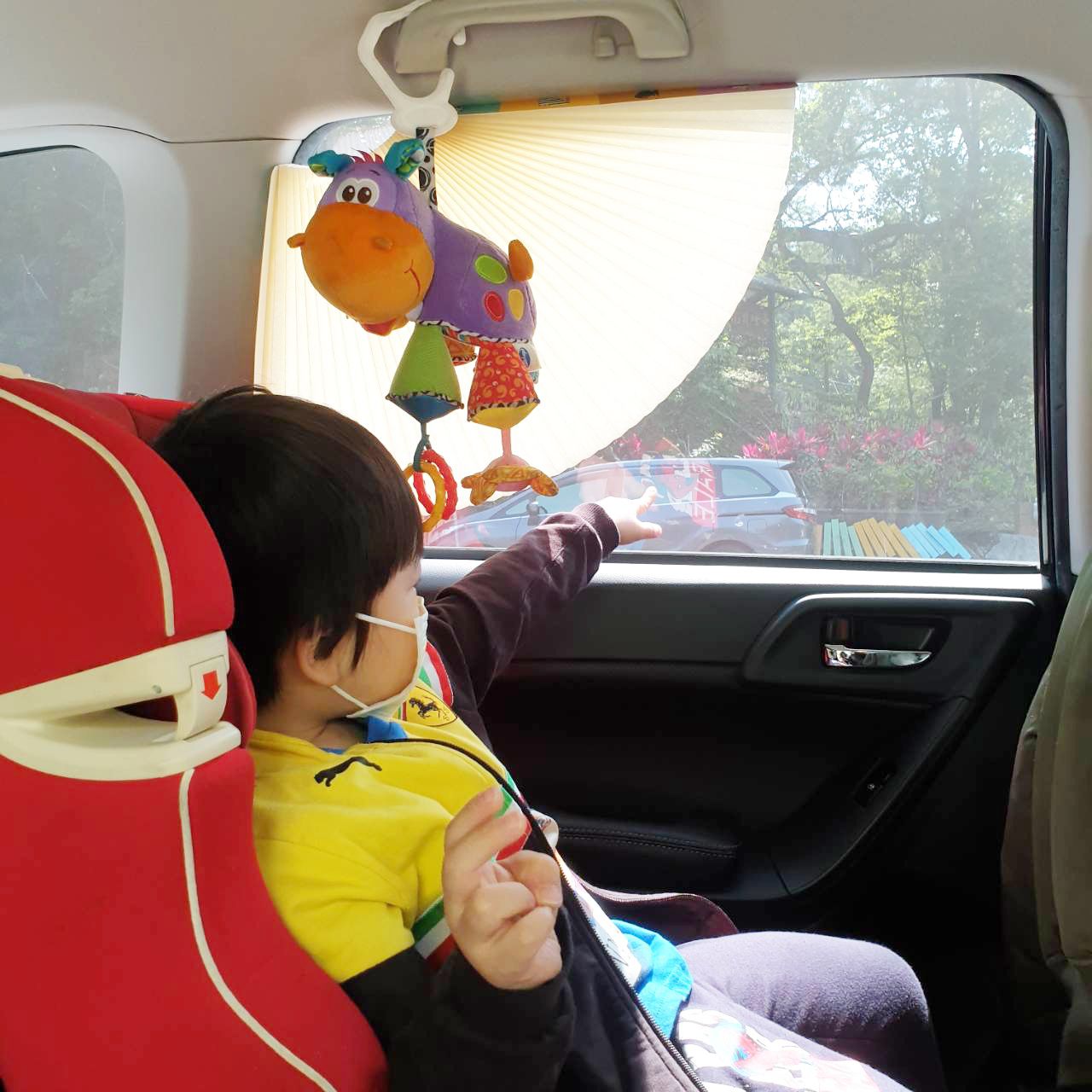 韓國 Nuguna - 蜂巢多角隨插式車用遮陽簾-熊寶灰黑款-商品一套(內有兩個遮陽簾)