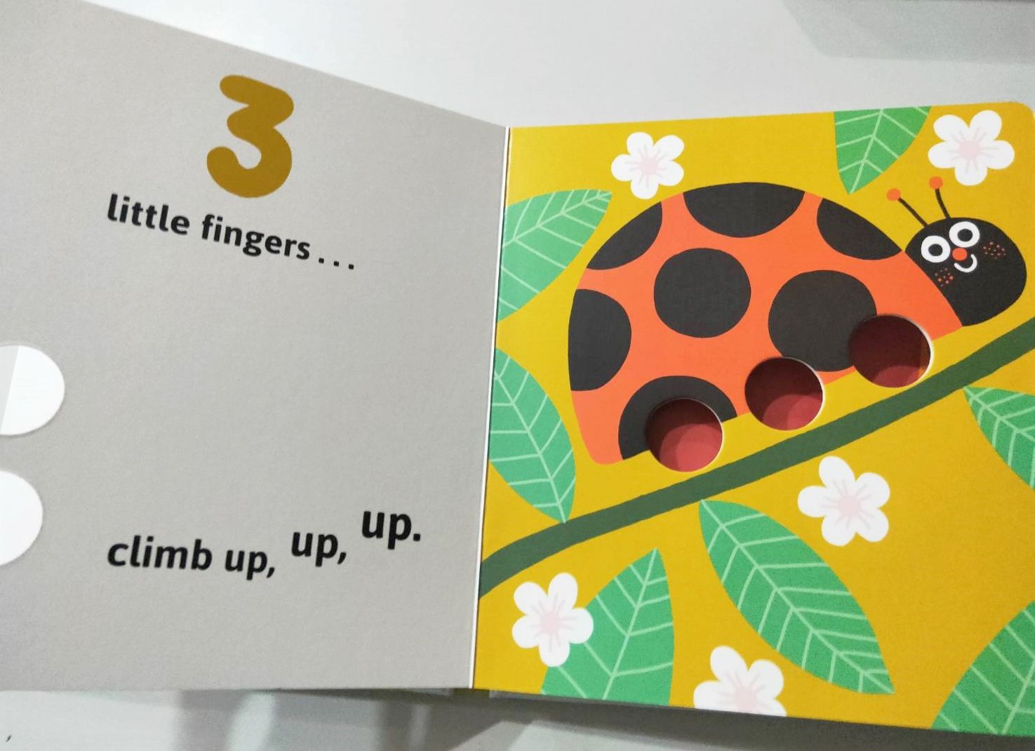 HOORAY FOR LITTLE FINGER /手指互動數數遊戲書-硬頁書