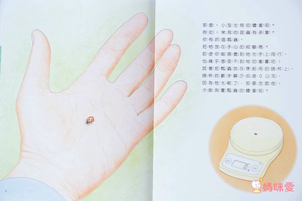 科學不思議1：昆蟲量體重