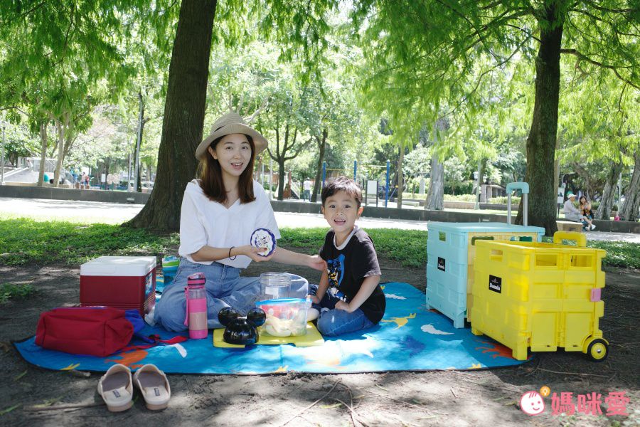 韓國 Damda - 購物車-57L/承重30kg-天藍+黃-42X36.5x40cm