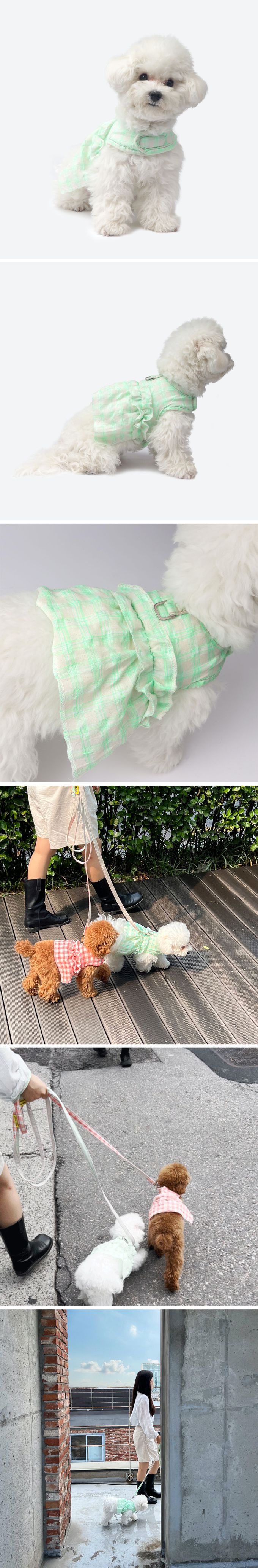 韓國 MONCHOUCHOU - (附牽繩)魔鬼氈式狗狗胸背帶-格子-湖綠