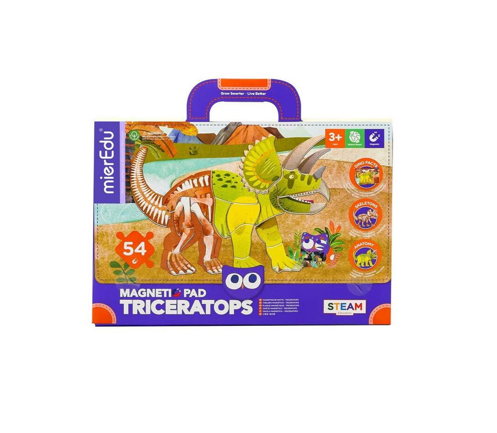 認知學習磁性寶盒-三角龍 ME0545