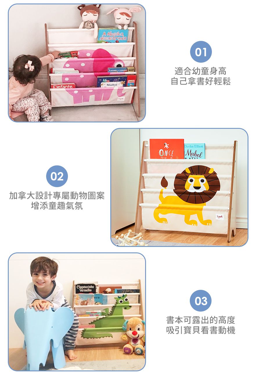 加拿大 3 Sprouts - 書架-貓頭鷹