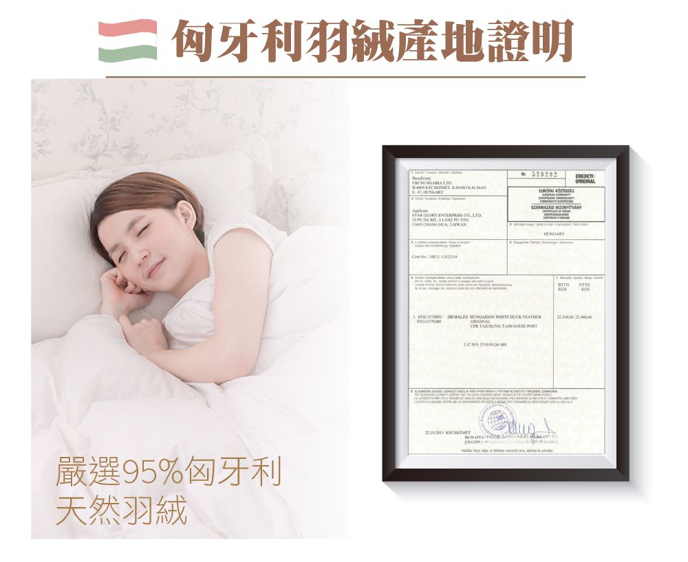 鴻宇 HongYew - 威爾斯羽絨被 冬被 95%匈牙利羽絨 美國棉230織 純棉表布-雙人加大8X7