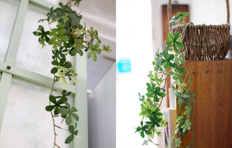 日本 KISHIMA - CT觸媒 消臭仿真植物掛飾-西班牙苔蘚 (18x15x90cm)