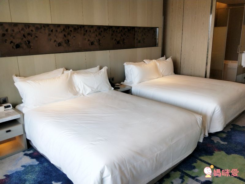 限時限量⏰【 桃園名人堂花園大飯店】棒球名人堂X史努比樂園