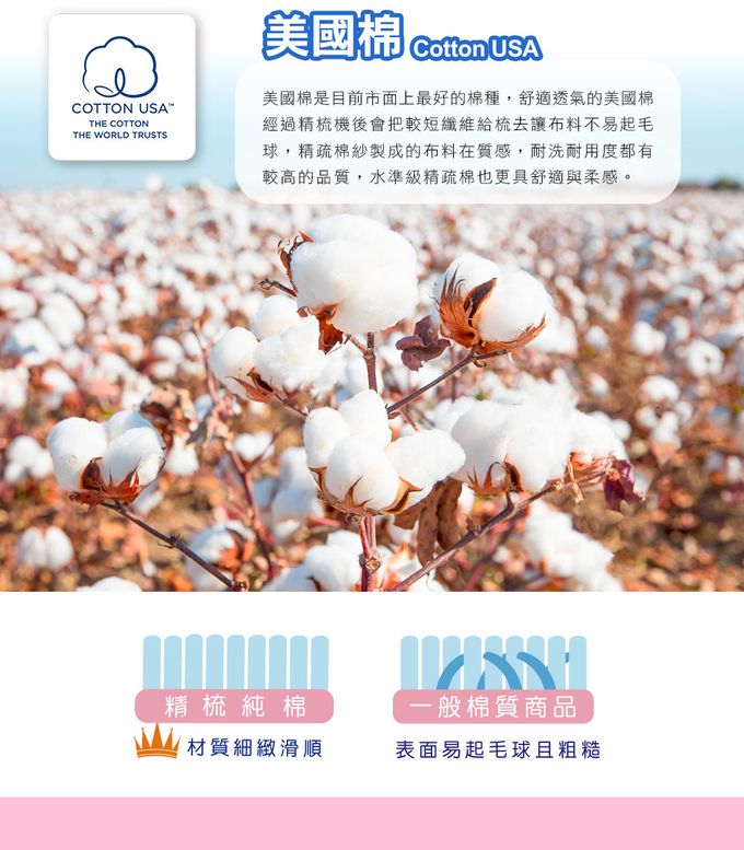 鴻宇 HongYew - Hello Kitty 防螨枕套-Honey小熊-粉色 (50x75 cm)-2入