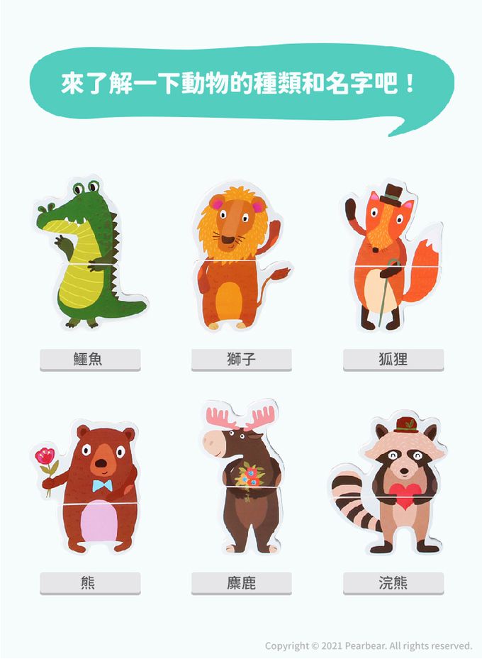 韓國 Ariati - 磁性配對拼圖-動物