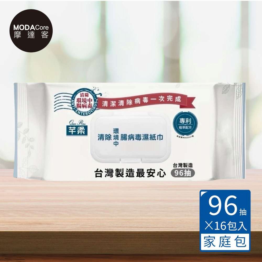 台灣製造 清除腸病毒濕紙巾96抽*16包 外出旅行必備 (清除環境中腸病毒)