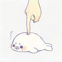用戶頭像