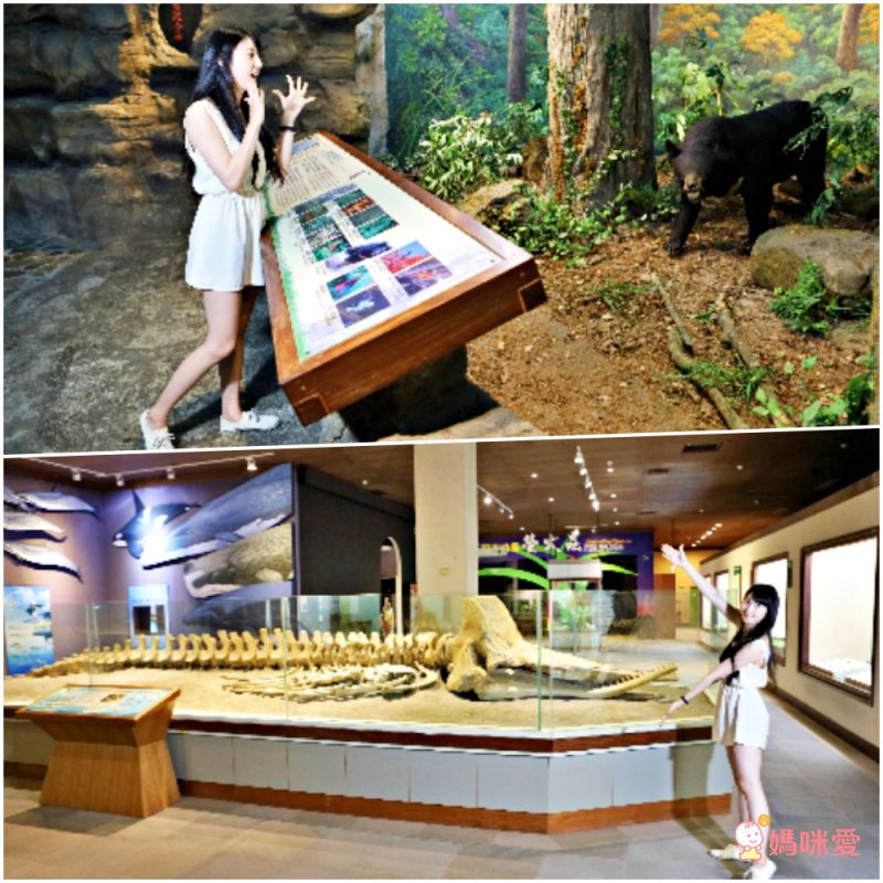 台中大毅老爺行旅 綠光客房兩大一小↘3000起