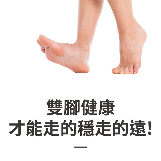 貝柔 Peilou - Supima抗菌萊卡除臭襪-船型襪(女-6雙組)-白色 (24-26cm)