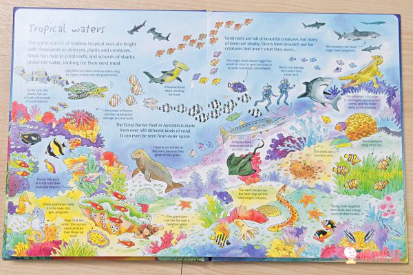 最佳兒童知識書籍♛泰晤士報讚譽【 I Wonder Why兒童百科大全套20冊】單本90元起！科學素養從小培養！