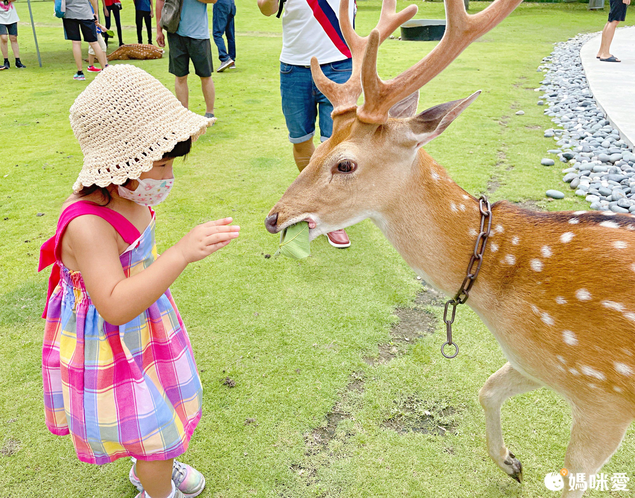 #現貨馬上出【嘉義雲登景觀飯店】2.6折↘一泊二食