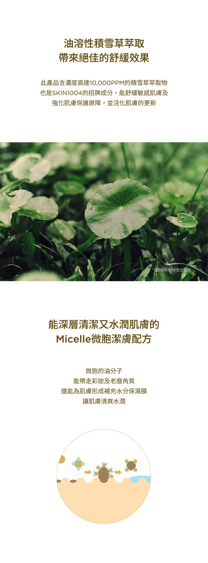 SKIN1004 - 馬達加斯加積雪草-清爽卸妝油 (單入)-200ml