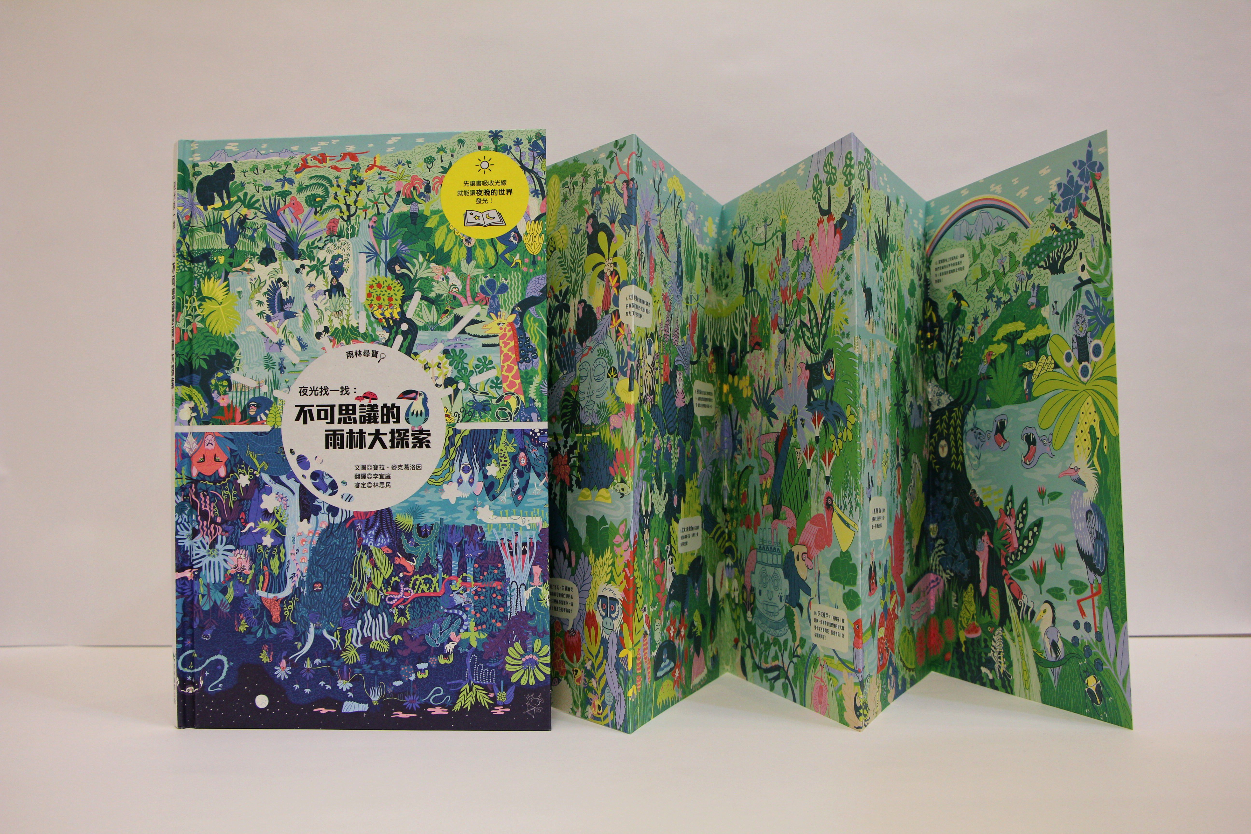 夜光找一找：不可思議的雨林大探索