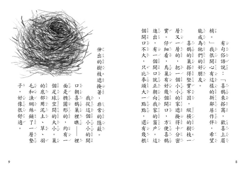 【好好讀小學堂】我和我的喜鵲鄰居