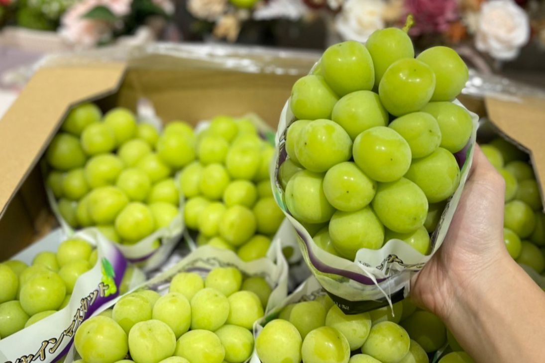 空運直送！精品等級【日本山梨麝香葡萄、長野紫葡萄】