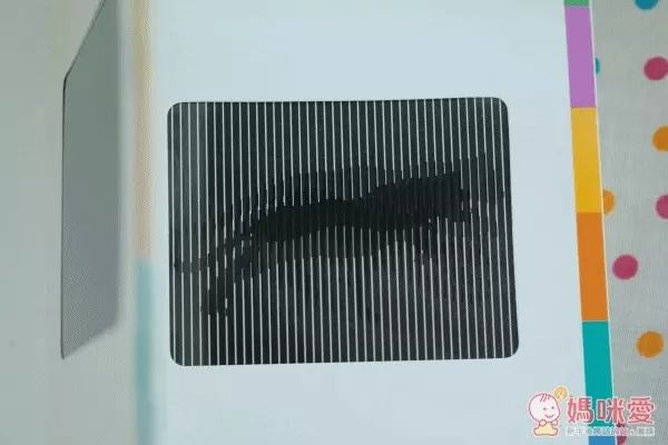 【WORKMAN PUBLISHING】英文動畫書