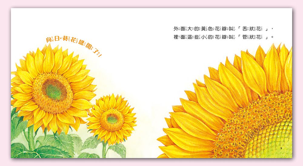 小牛頓科學教育有限公司 - 我家自然小百科-平裝-全彩 (17.3cm x 18.5cm)-60冊/2-6歲