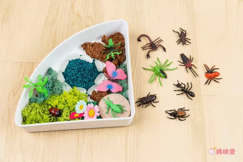 超激推5in1感官盆【韓國POKI趣玩盆】啟發創意力