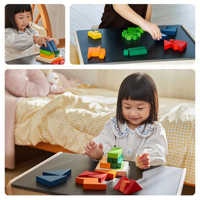 泰國 Plantoys - 分數概念學習組