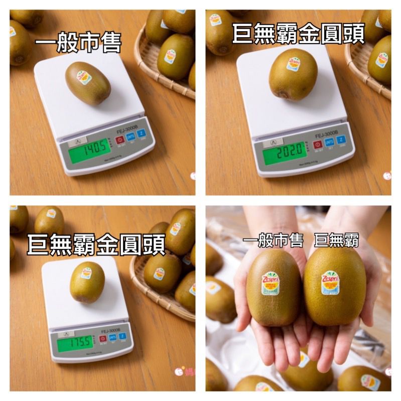 提升保護力！【Zespri 巨無霸金圓頭】 黃金奇異果