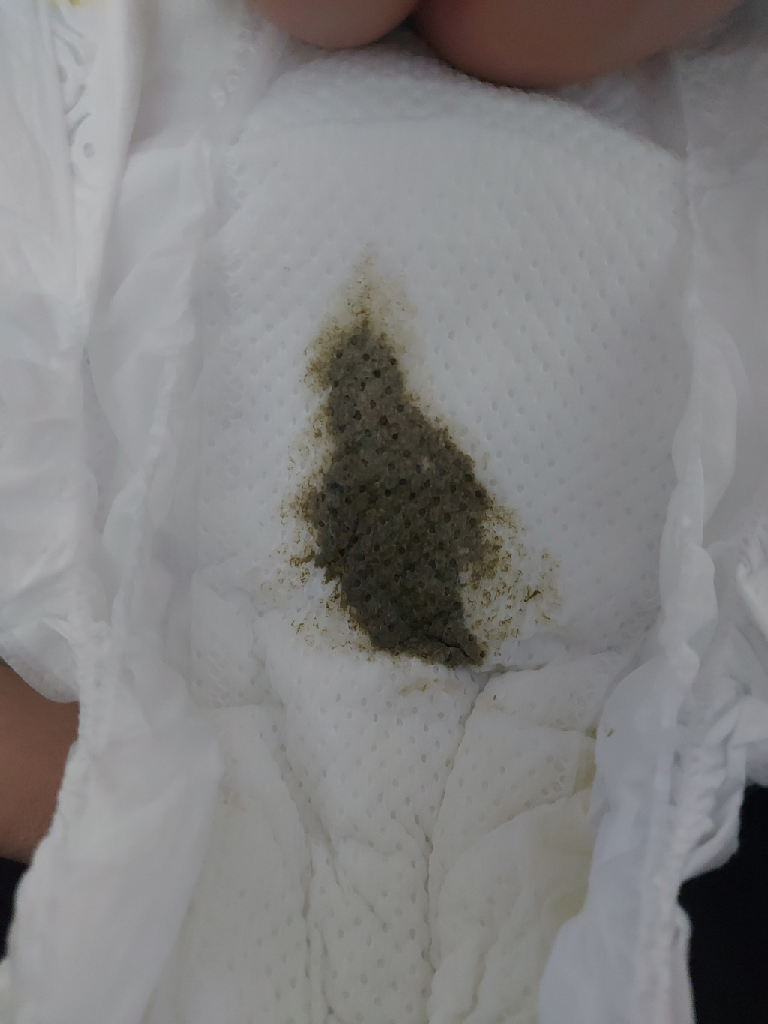 能恩水解、拉肚子？