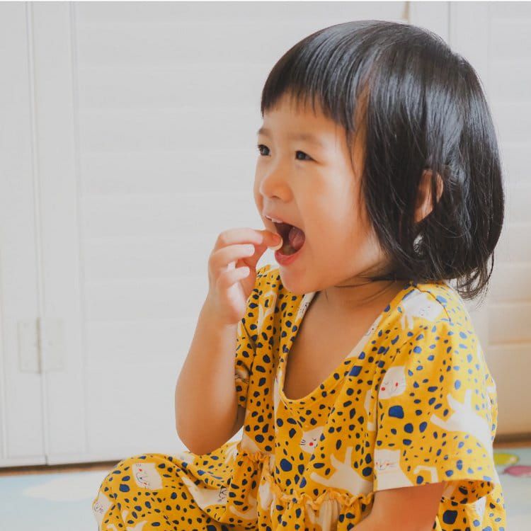 壽滿趣 - LA NATURE PRECIEUSE成長天使綿羊乳片-藍莓-120片