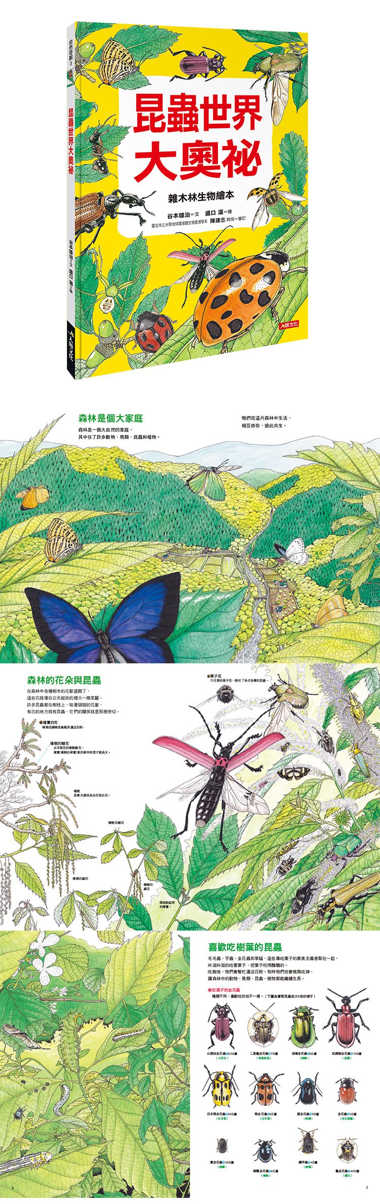 昆蟲世界大奧祕