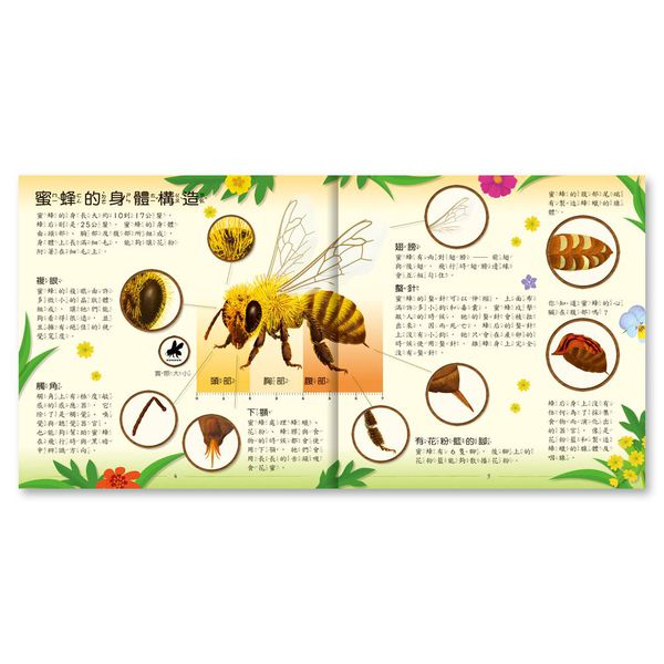 世一文化 - 原來蜜蜂的家長這樣