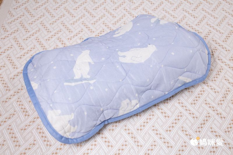 日本小泉 - 節電對策冷感波浪紋枕頭墊-北歐花草-薄荷 (43x63cm)